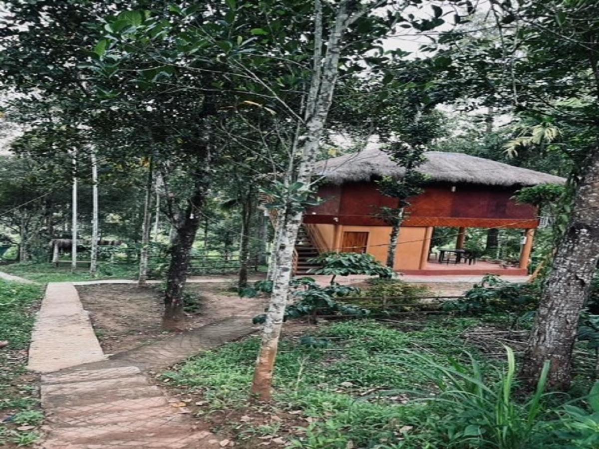 Kuruva Shoreline Wayanad Chegāt المظهر الخارجي الصورة