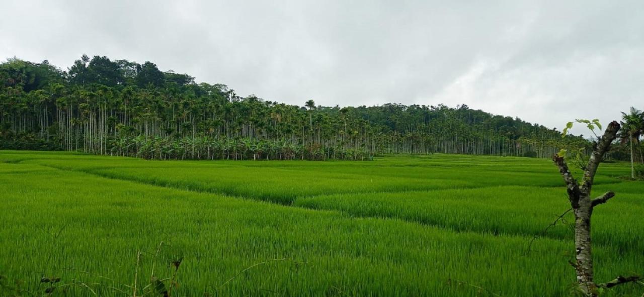Kuruva Shoreline Wayanad Chegāt المظهر الخارجي الصورة