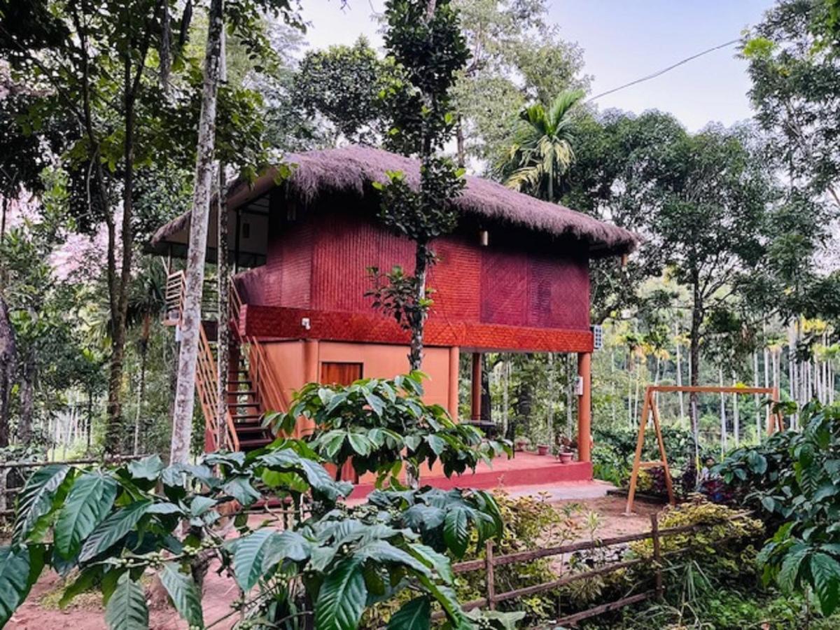 Kuruva Shoreline Wayanad Chegāt المظهر الخارجي الصورة