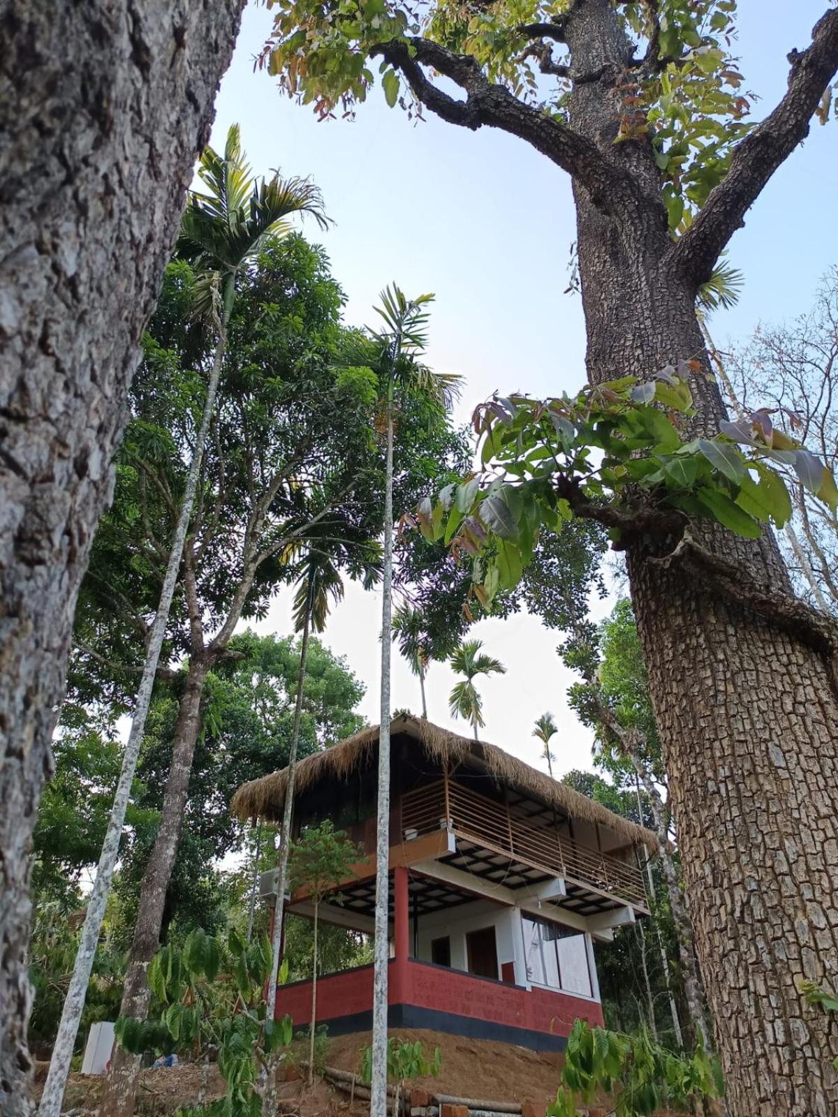 Kuruva Shoreline Wayanad Chegāt المظهر الخارجي الصورة
