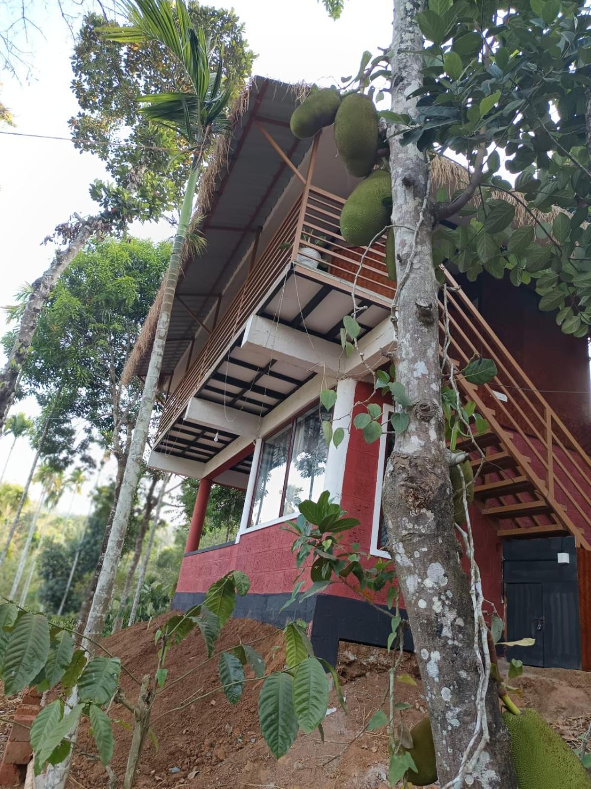 Kuruva Shoreline Wayanad Chegāt المظهر الخارجي الصورة