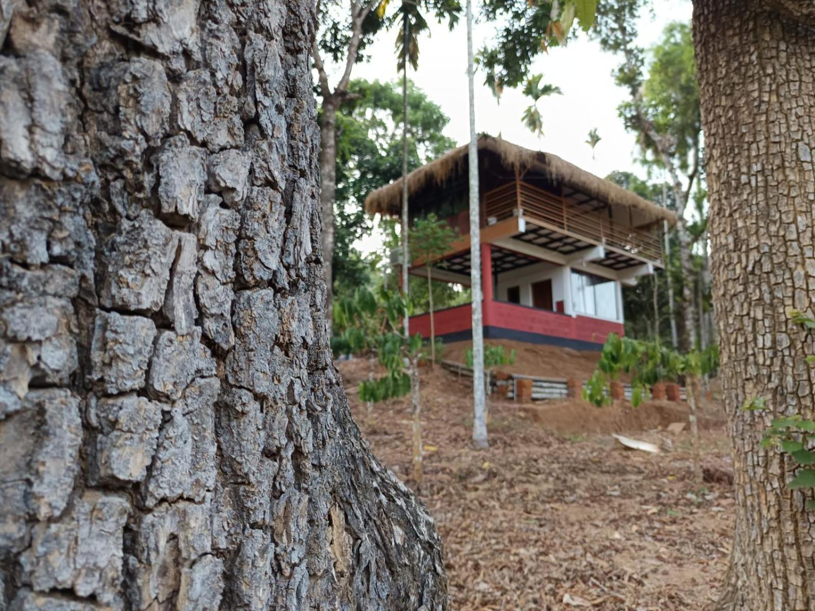 Kuruva Shoreline Wayanad Chegāt المظهر الخارجي الصورة