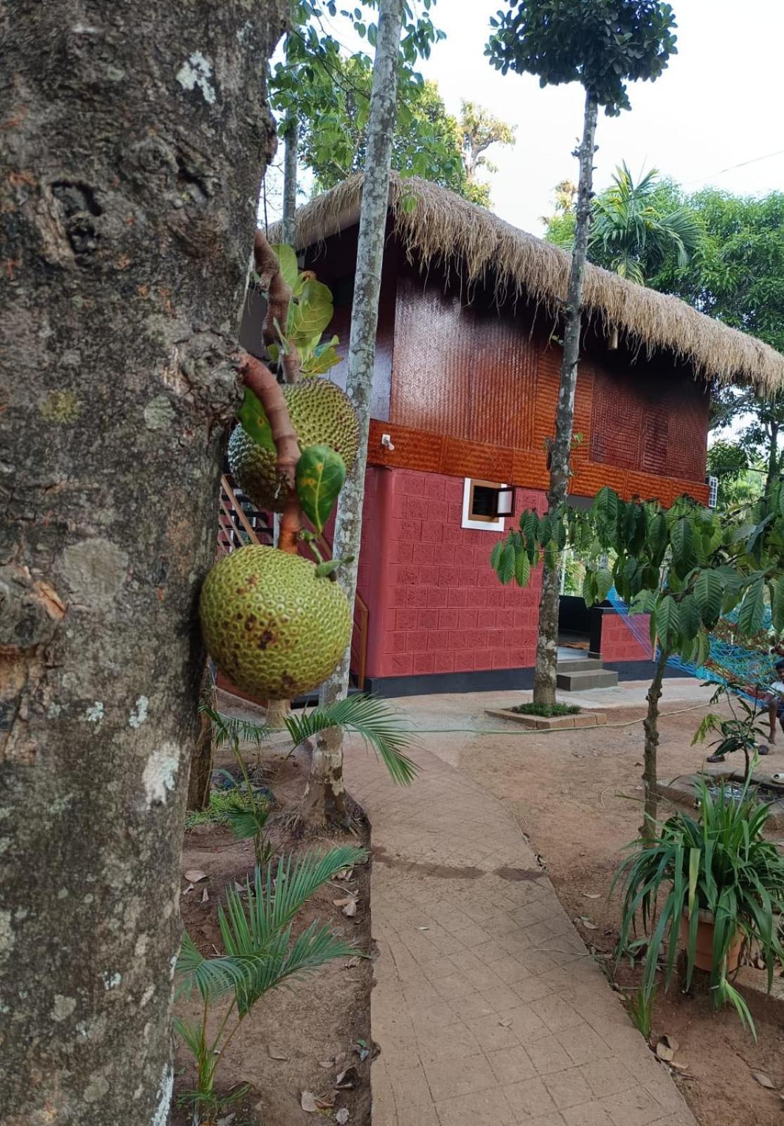 Kuruva Shoreline Wayanad Chegāt المظهر الخارجي الصورة