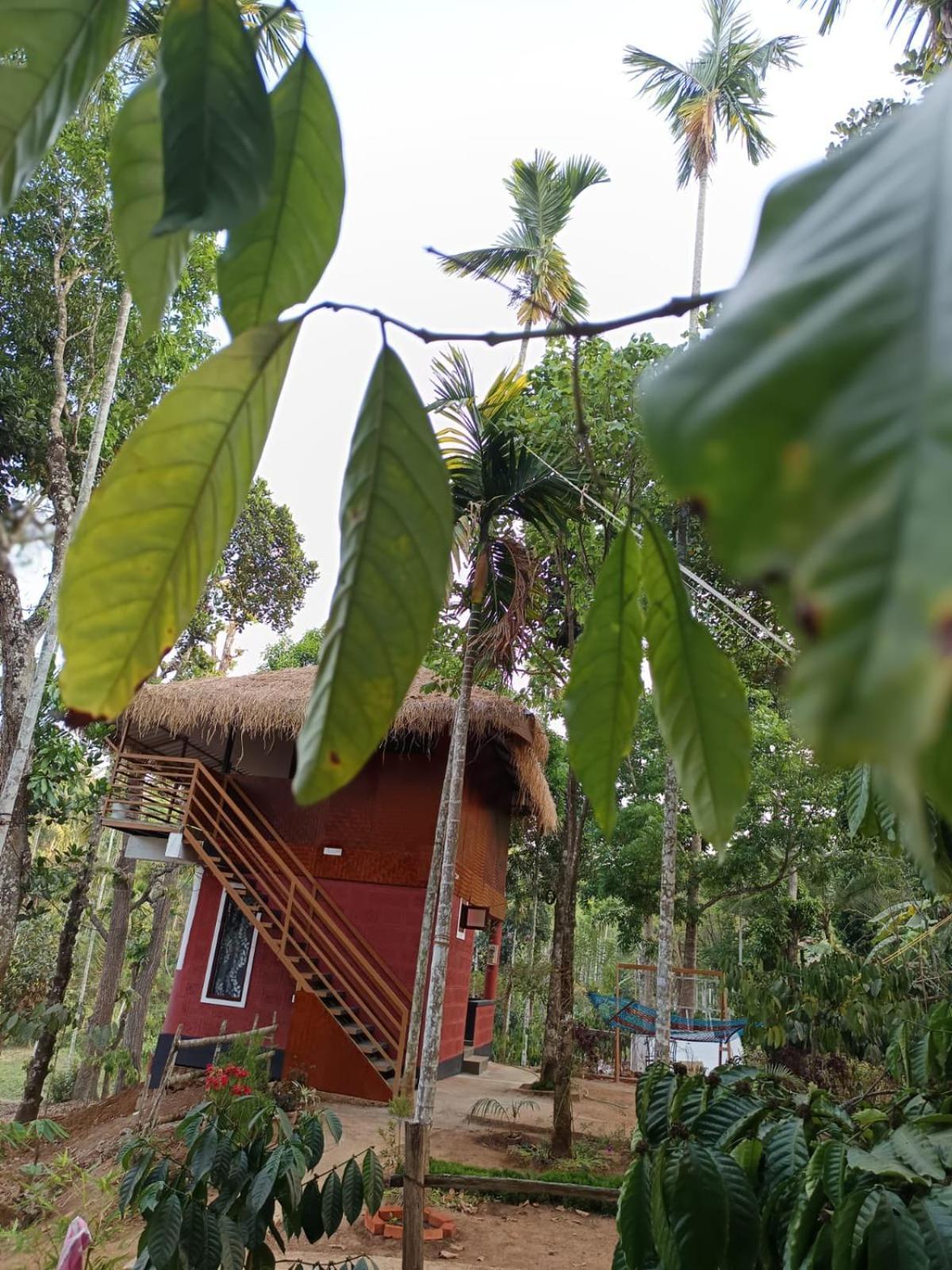 Kuruva Shoreline Wayanad Chegāt المظهر الخارجي الصورة