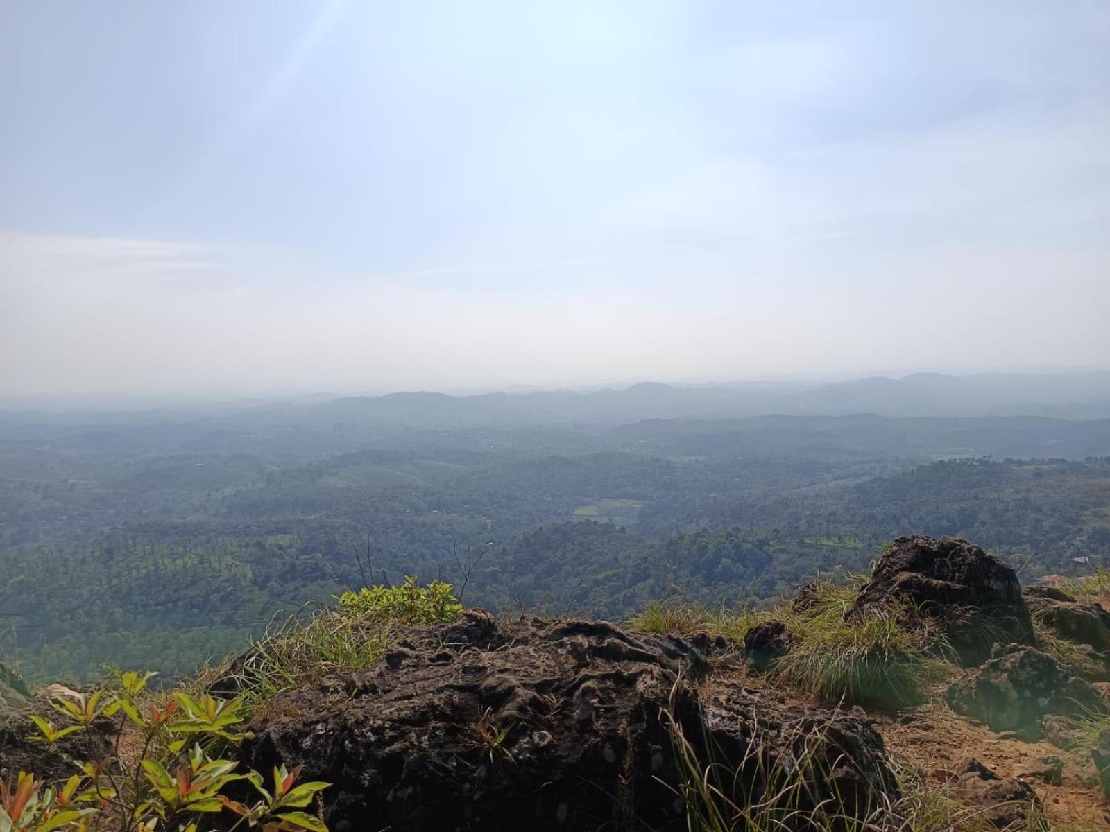 Kuruva Shoreline Wayanad Chegāt المظهر الخارجي الصورة