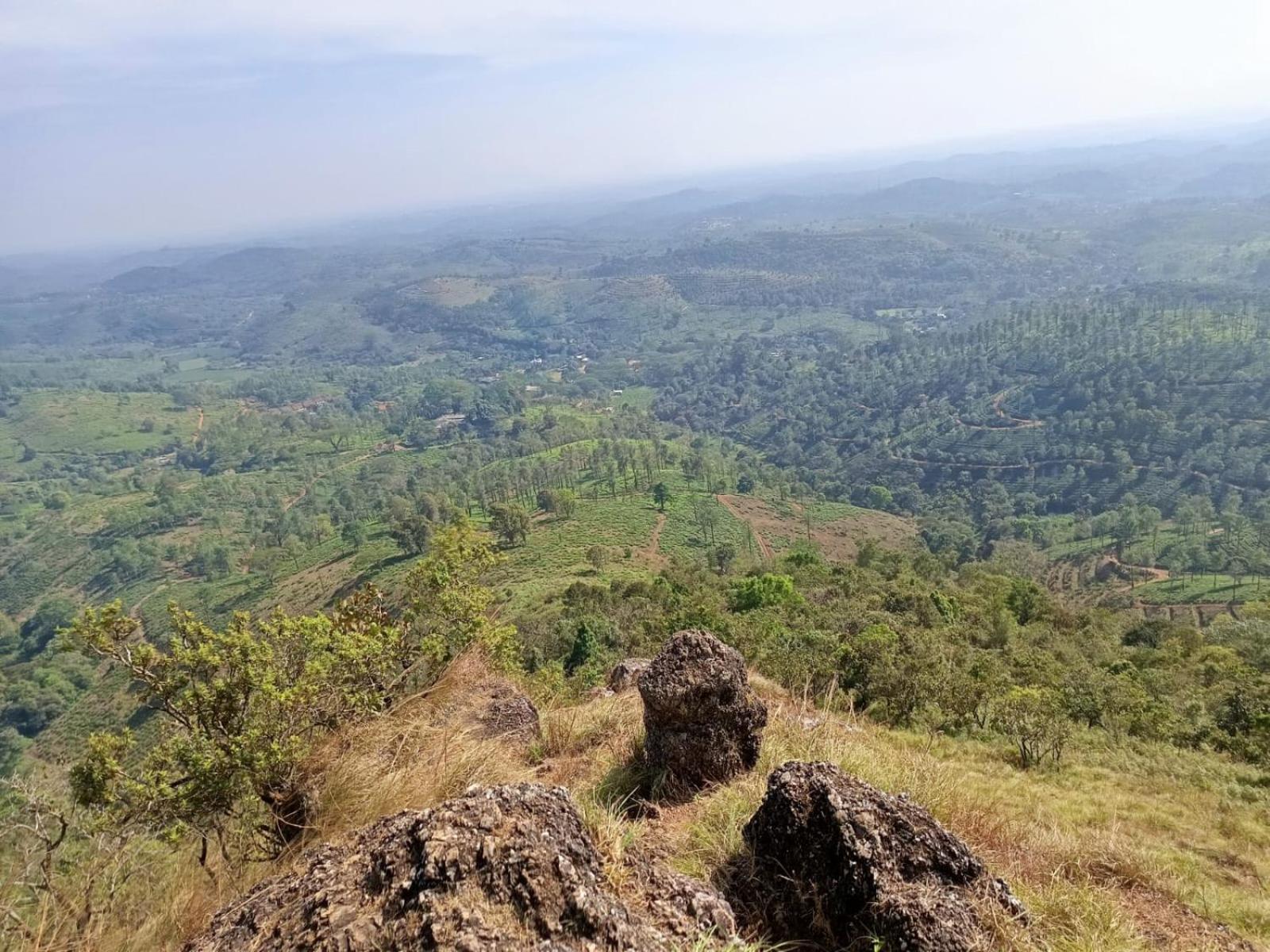 Kuruva Shoreline Wayanad Chegāt المظهر الخارجي الصورة
